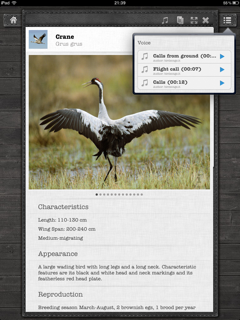 Nature Mobile iPad apps: Birds and Horses